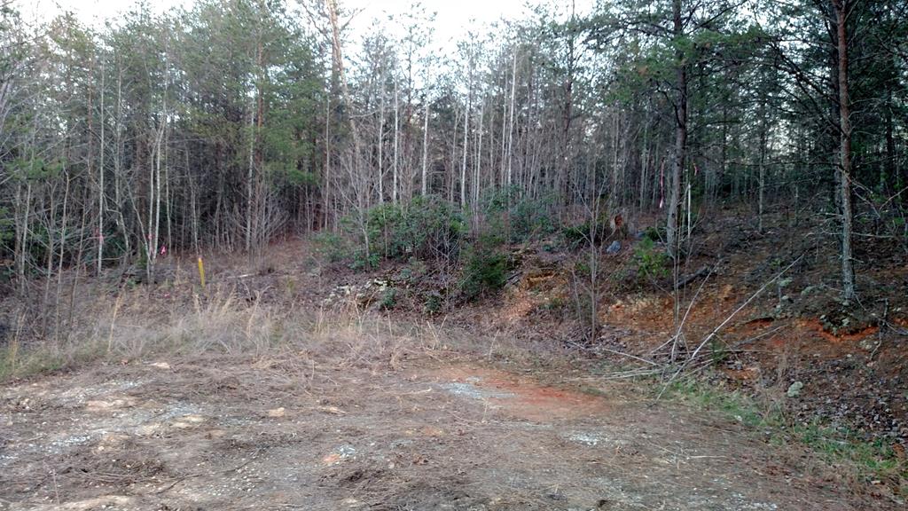 Level Lot Located Outside City Limits